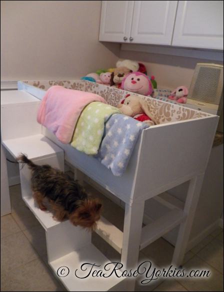 Yorkshire Terrier Puppy Bassinet